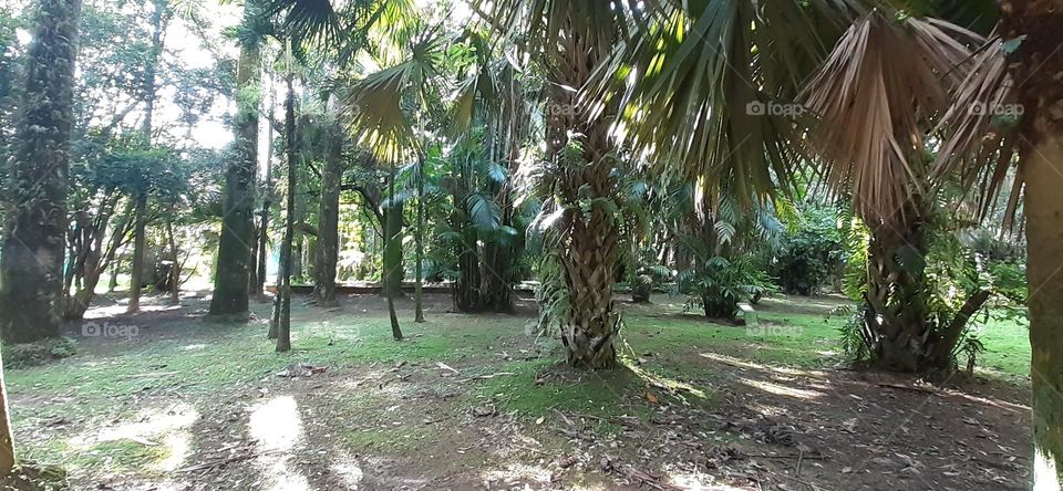 Jardim Botânico de Santos