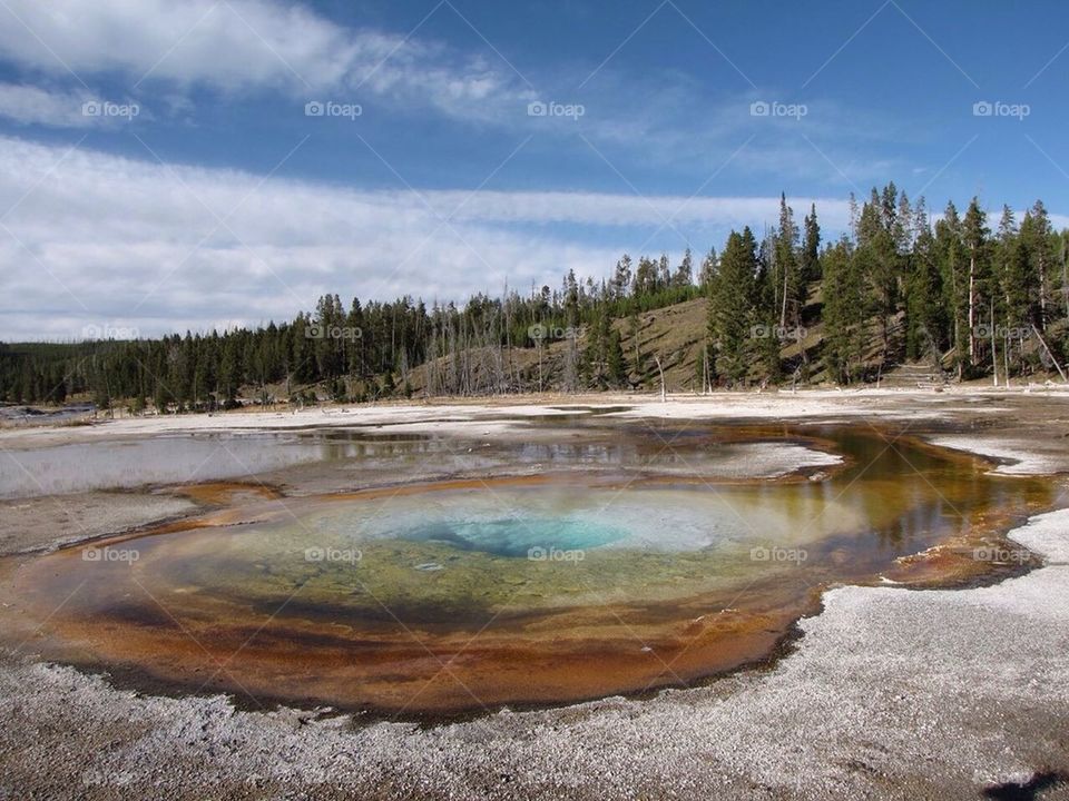 Yellowstone 