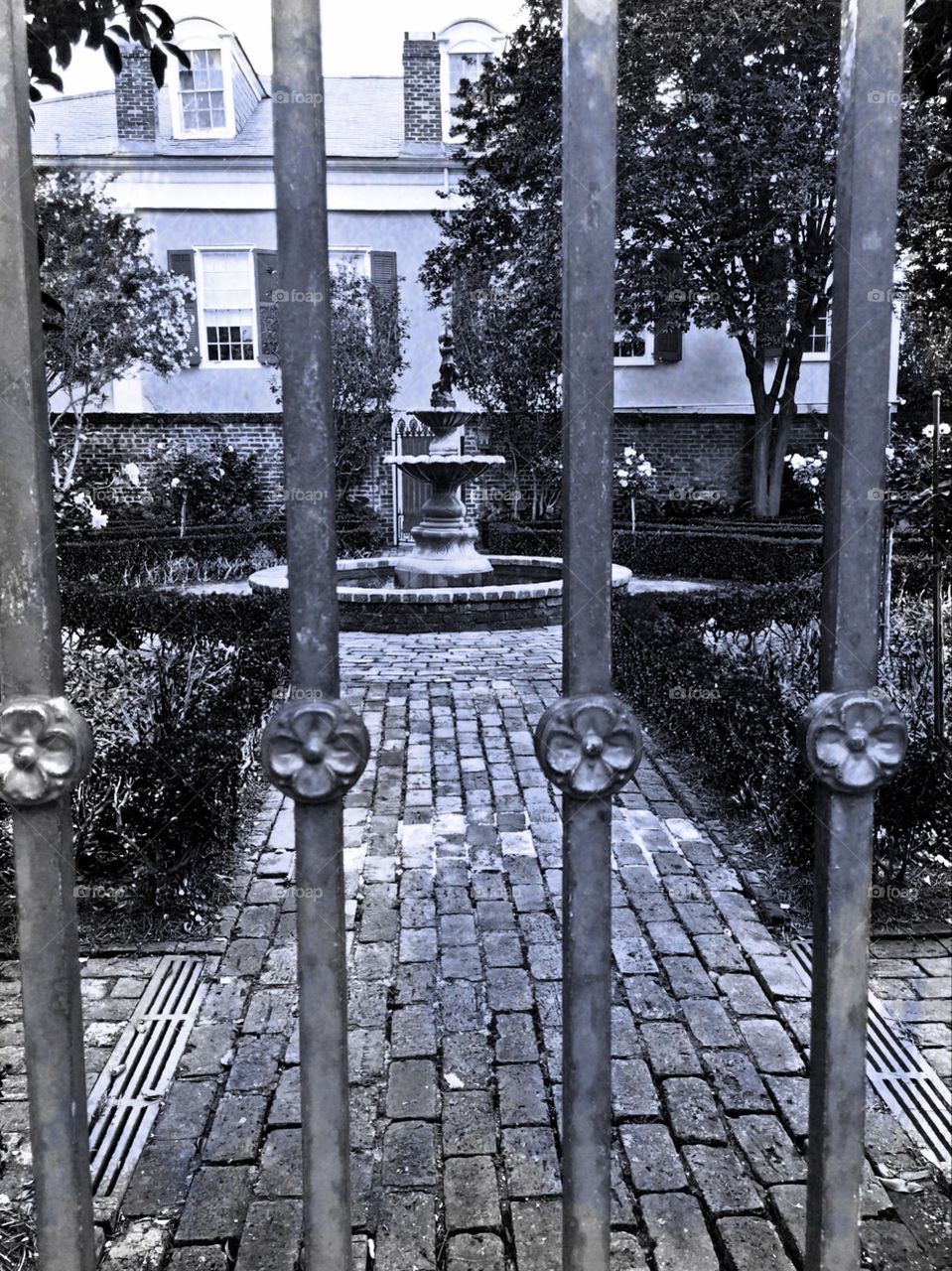 New Orleans Courtyard 