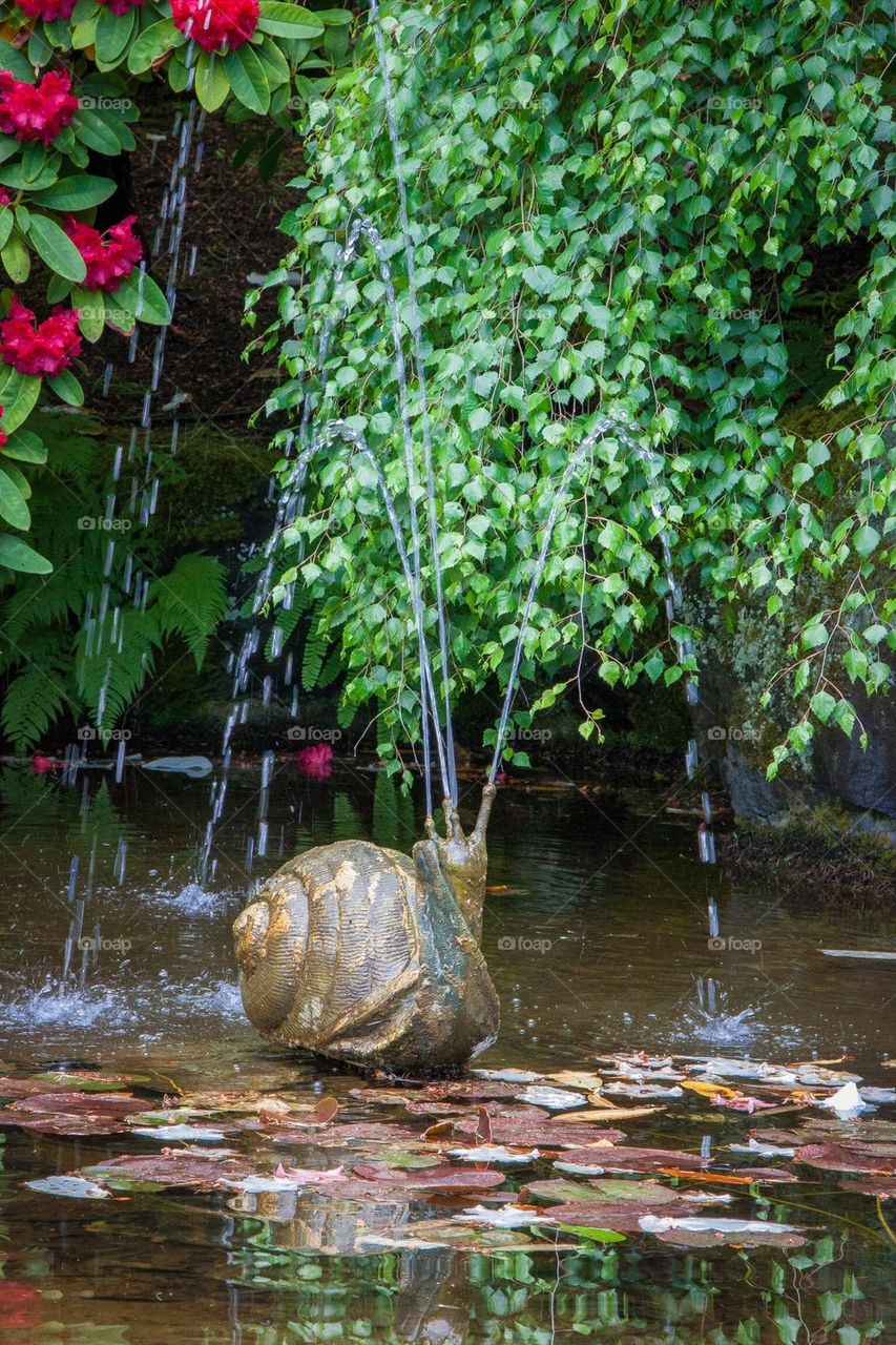 Snail Fountain