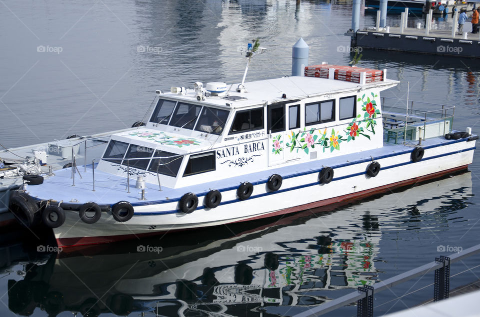 flowers blue water boat by hugo