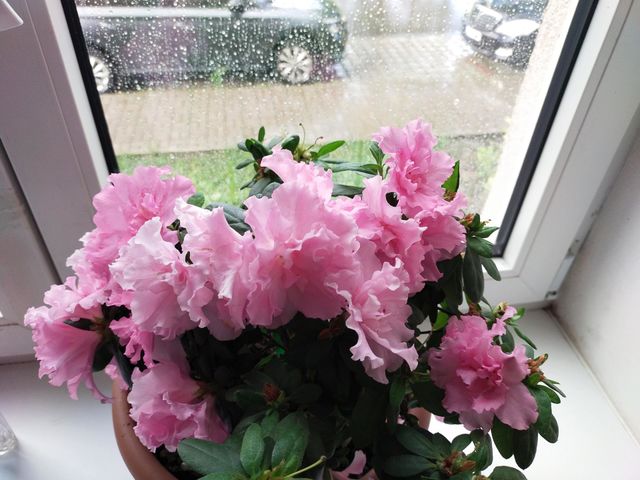 Rainy day