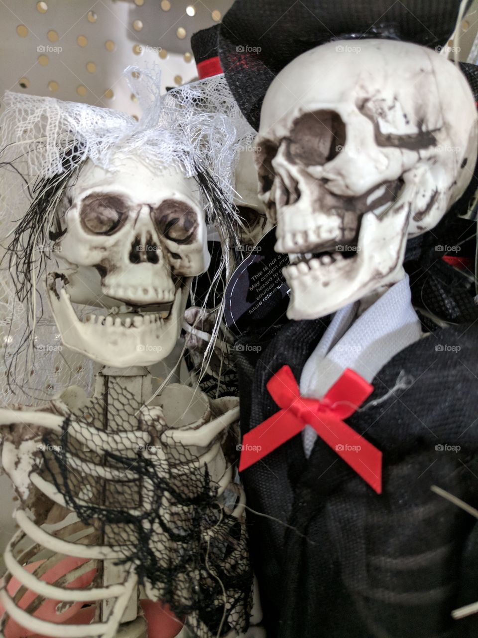 Mrs and Mr skeletons.