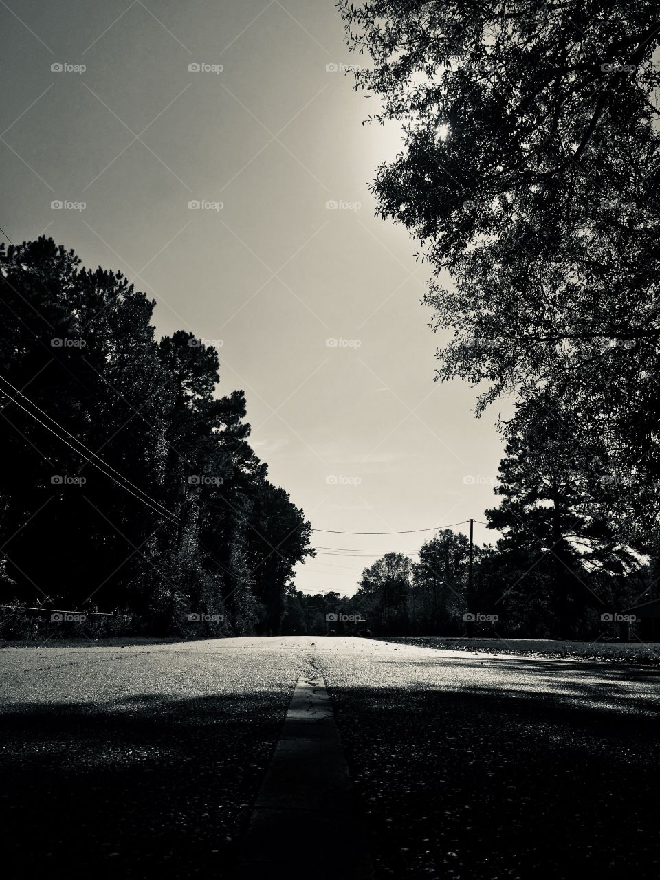 Monochrome, Tree, Landscape, Black And White, Road