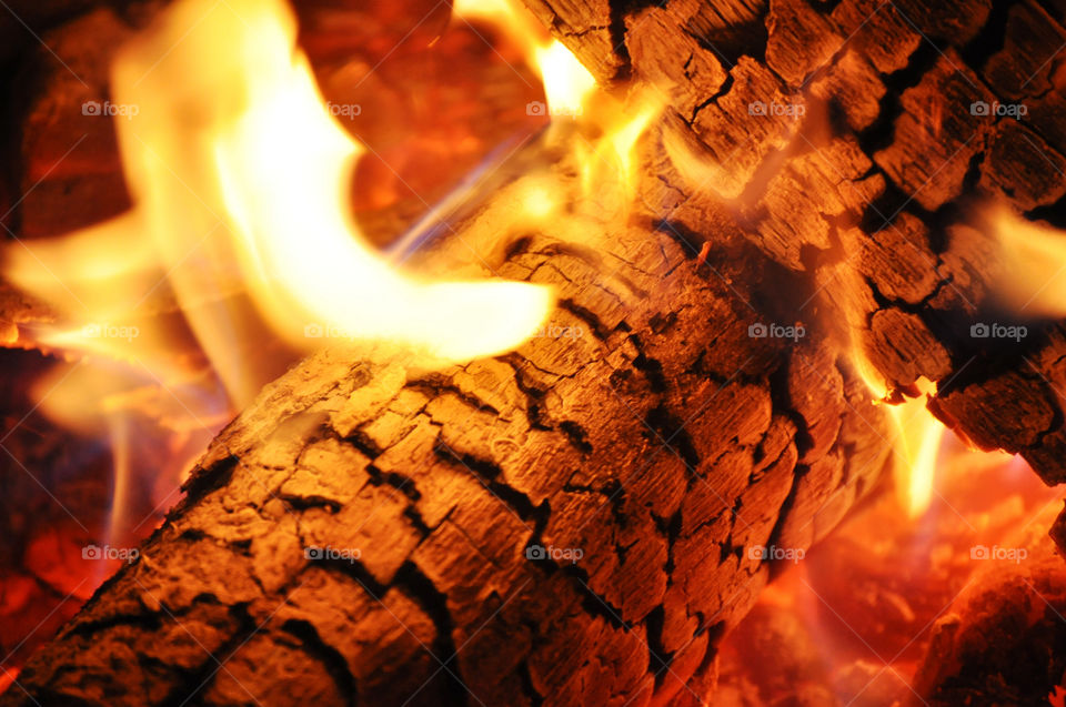 red wood orange fire by refocusphoto