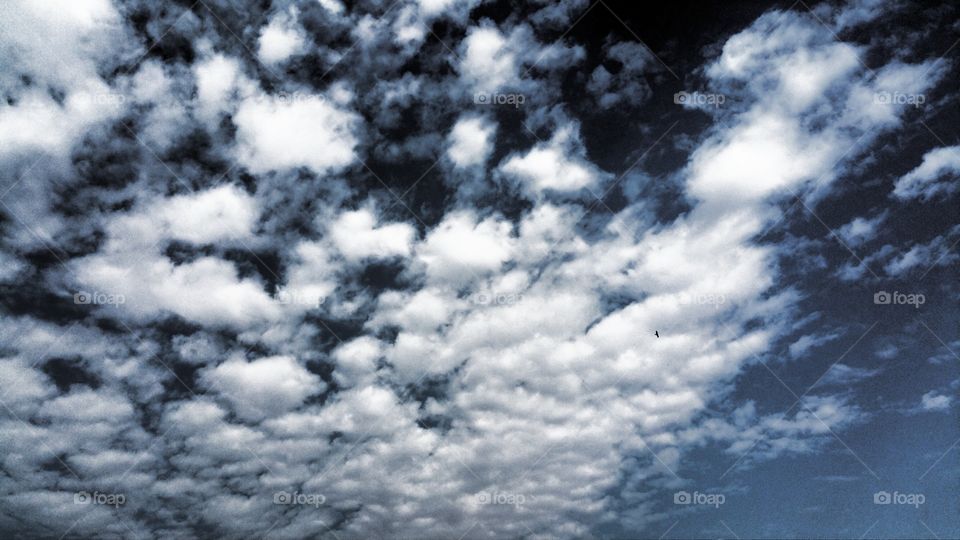 clouds altocumulus clouds white puffy clouds stratocumulus