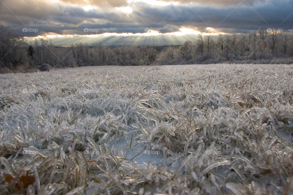 And ice encased field after an ice storm at sunset