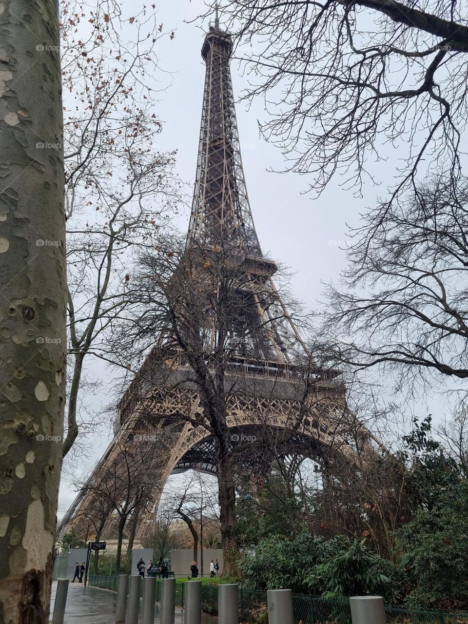 tower Eiffel - Paris