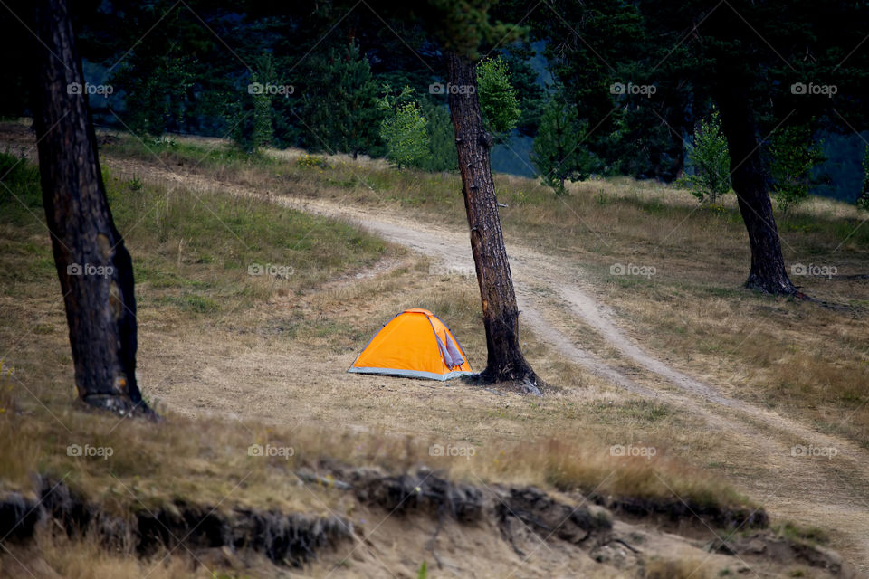 Small orange tent in the forest 