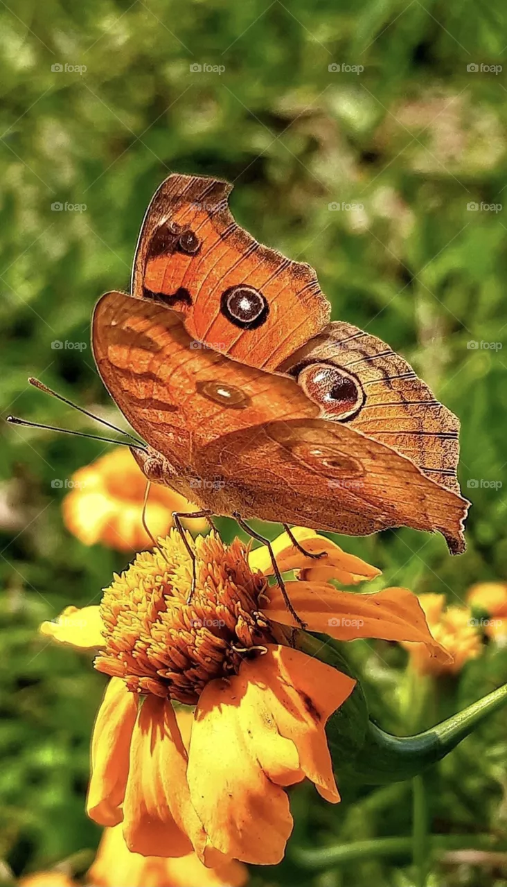 When the beauty of nature meets in a picture