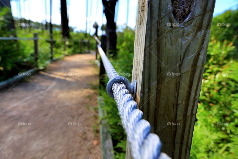 Path to the lake. Dirt path to the gator pond has metallic ropes to help you climb up and keep you in path! 