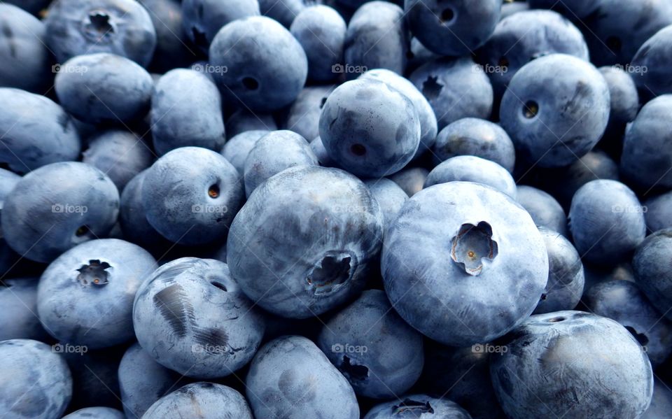 Fresh picked blueberries from the family farm