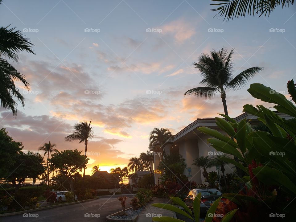 Maui Coast Hotel pink sky