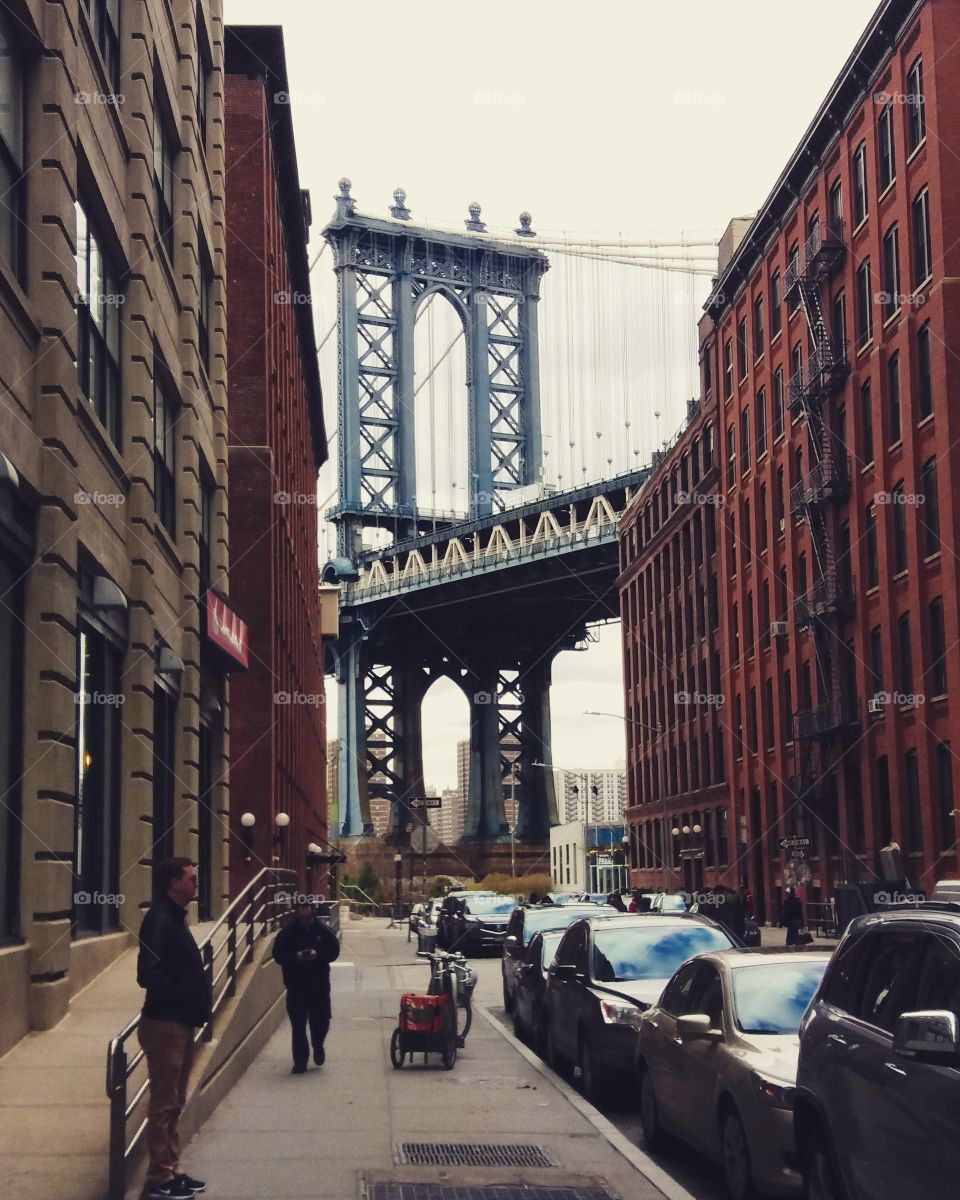 Exploring Dumbo