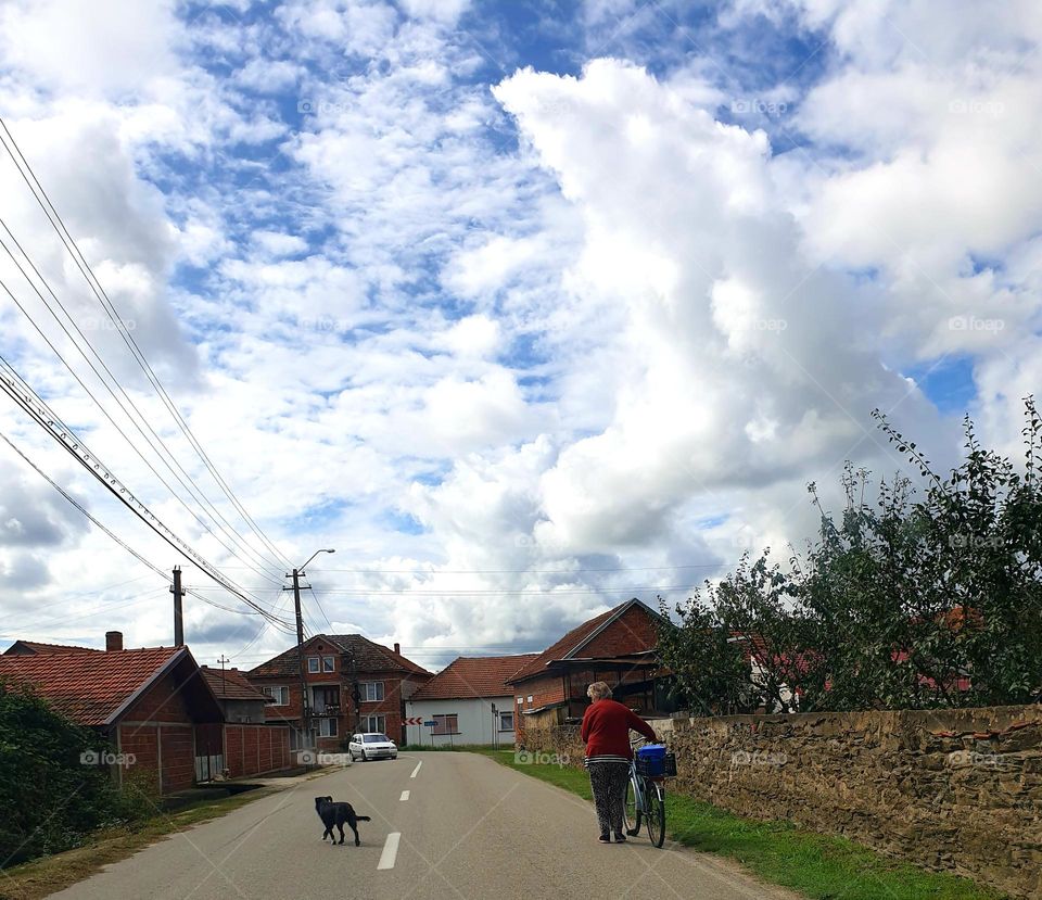 walking with friends: bicycle and dog