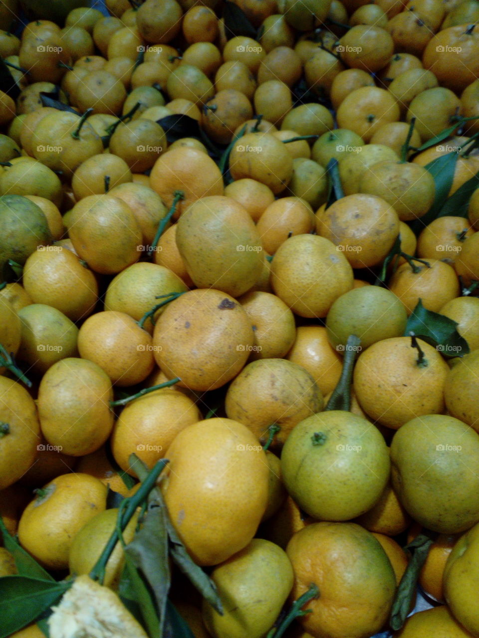 Chinese small orange