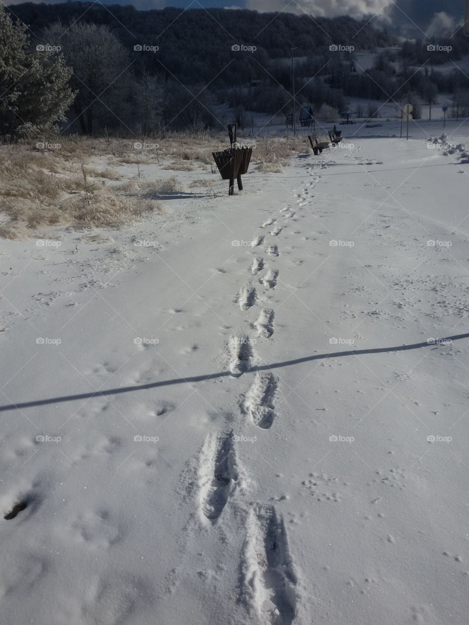 snow track on mountain