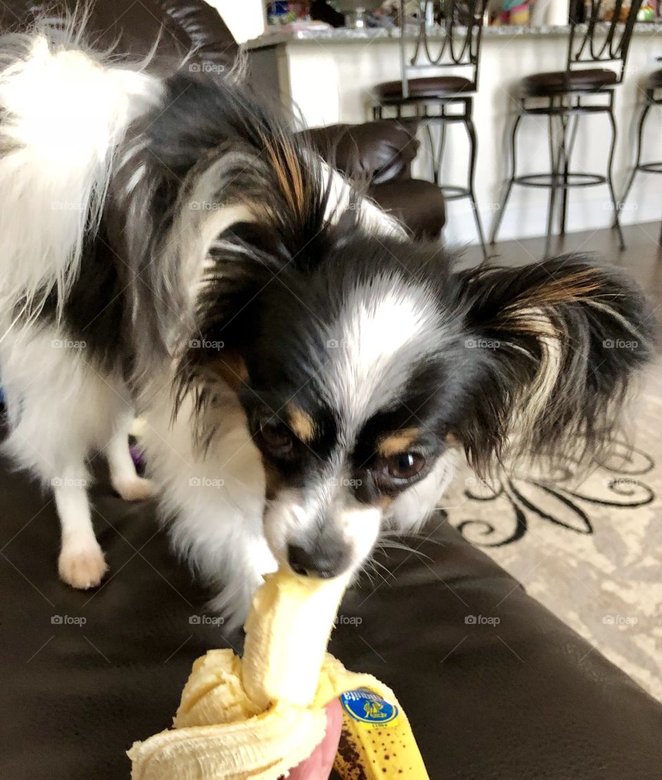 Don’t even think about taking my banana