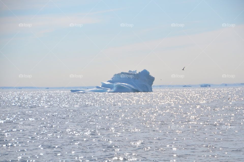 Icebergs Greenland