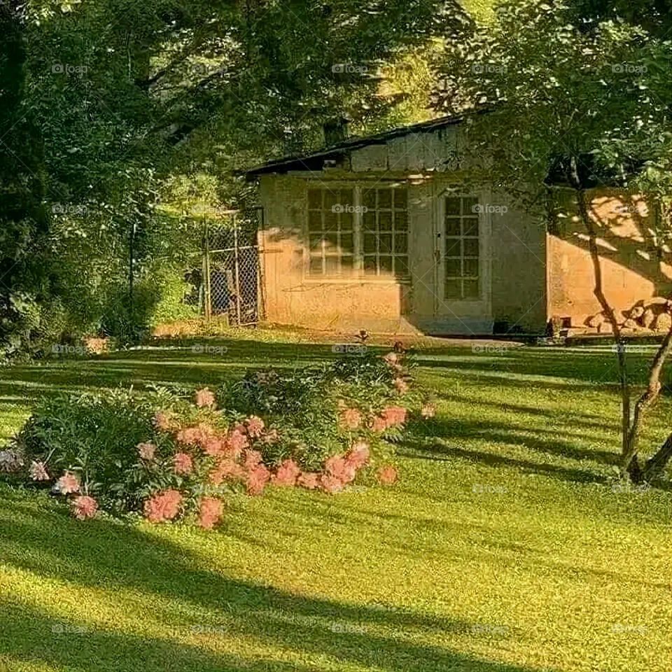 A very beautiful picture, and there is no better picture than it. There is no better picture of green herbs and colorful, red and white roses than it. Glory be to God, the natural and picturesque view, and there is no more