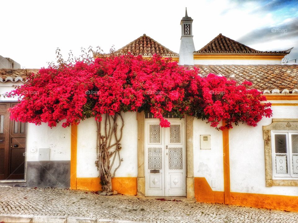 Street scene Portugal