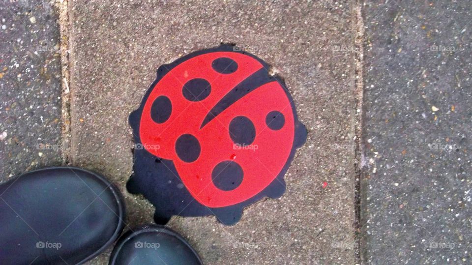 ladybug's dots