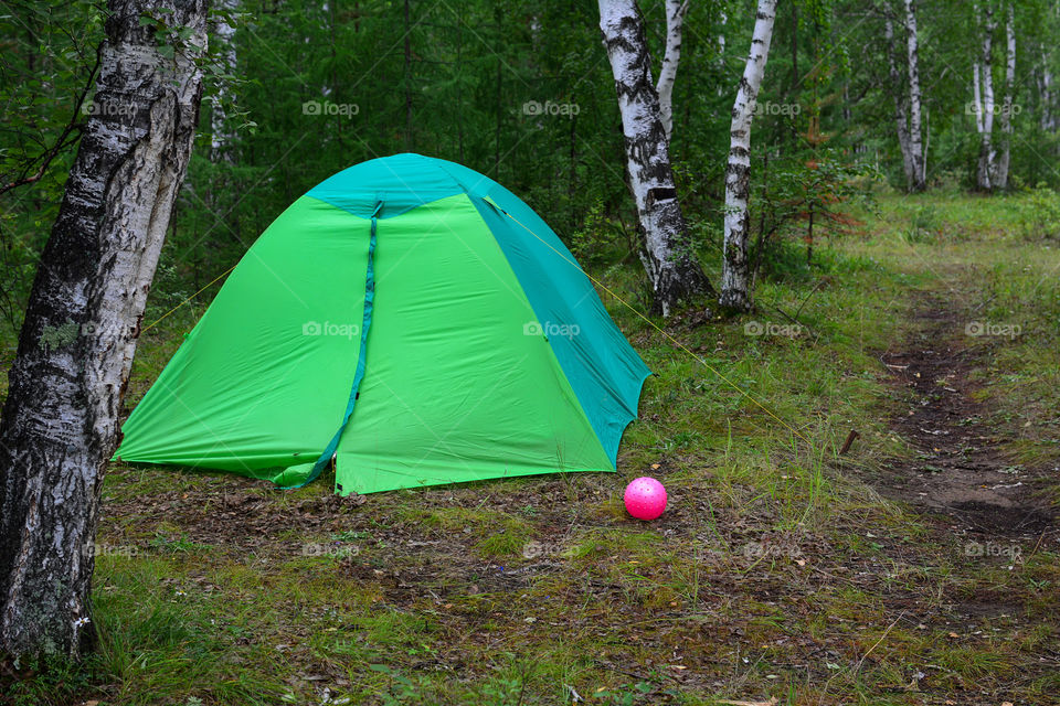 Tourist tent in the summer forest.