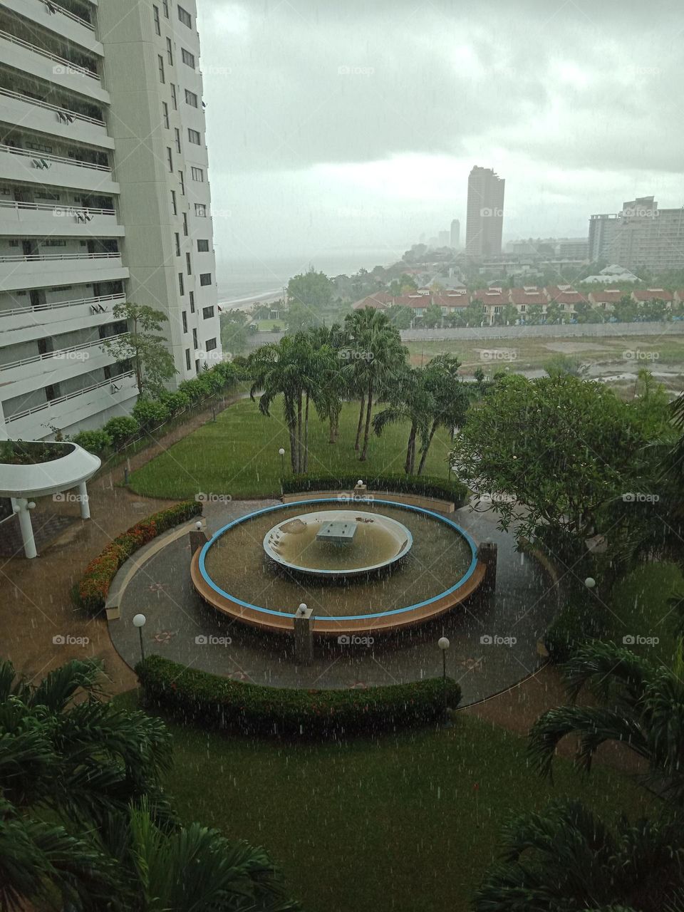 Garden in havy shower rain