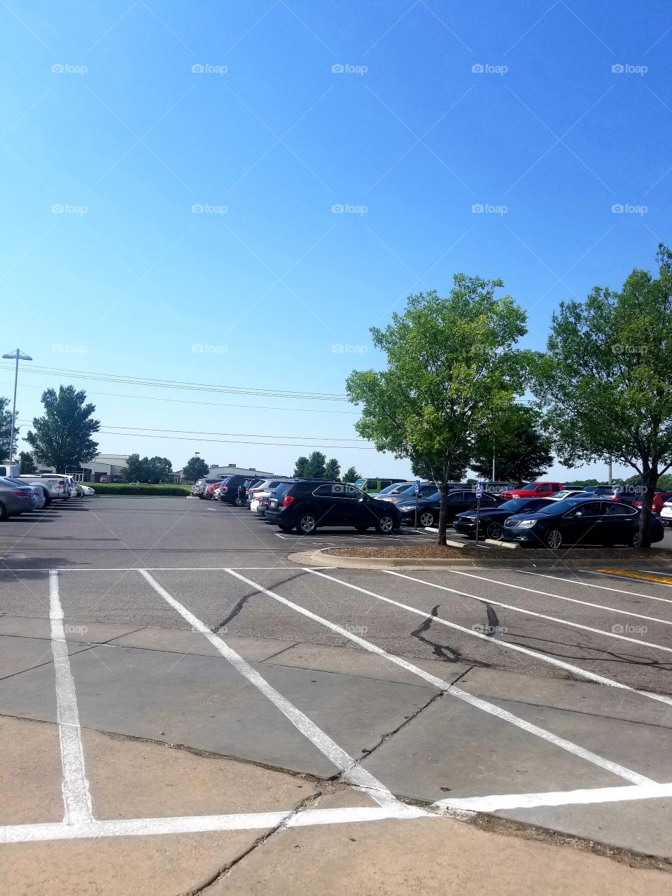 Crosswalk Parking Lot Rectangles