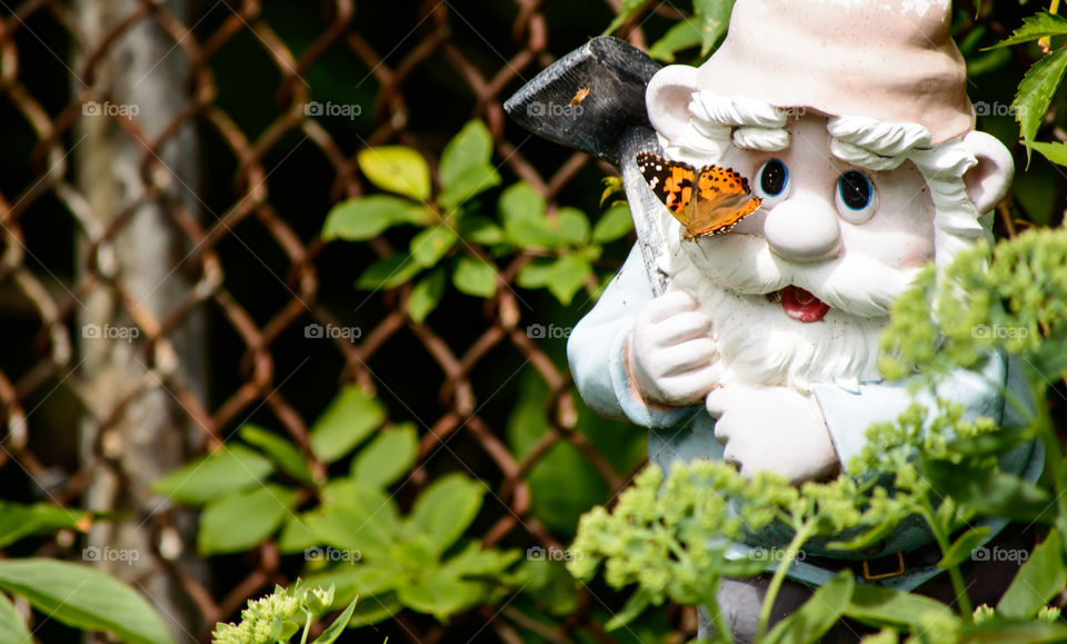 Painted Lady butterfly on garden gnome genus Vanessa cardui family Nymphalidae urban gardening and decoration butterfly garden background 
