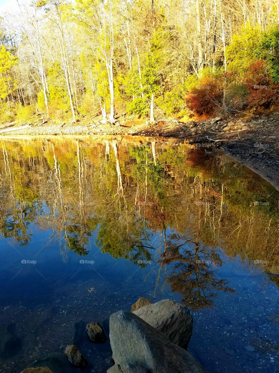 reflections on a lake with trees and trees