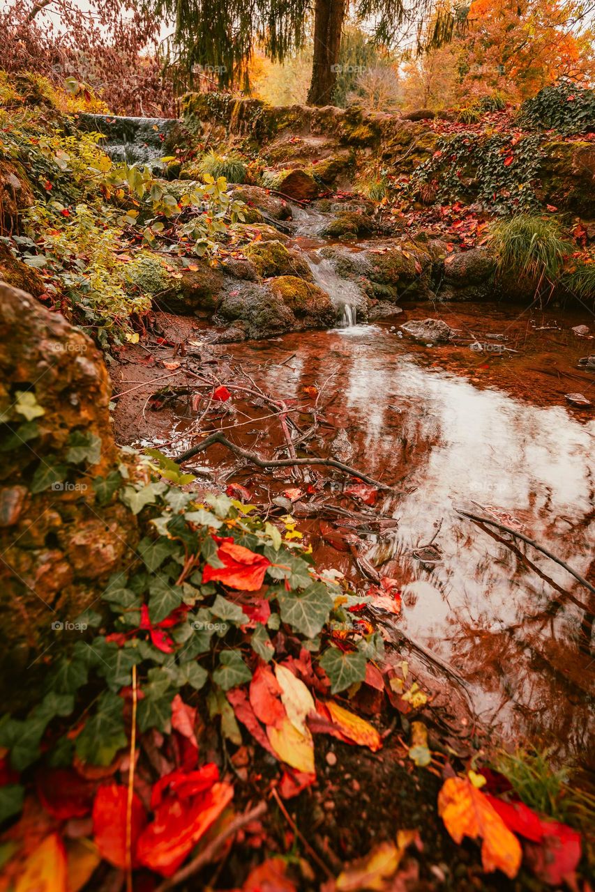 The colors of autumn