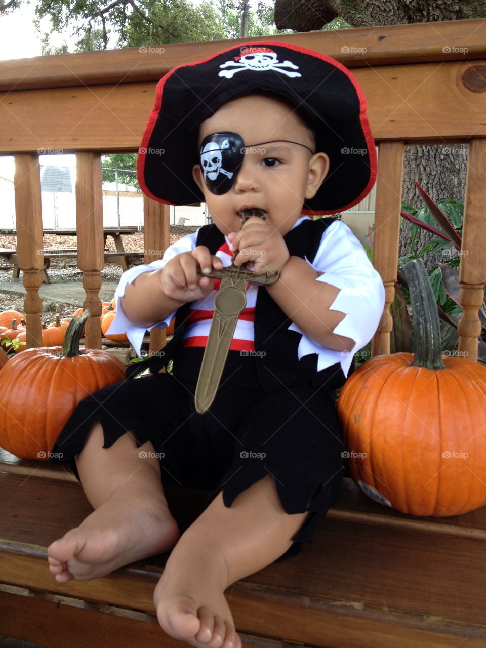 Baby pirate