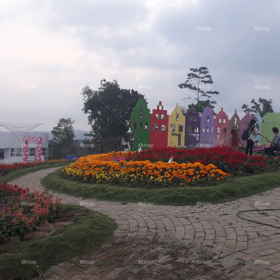 The Celosia Flower Garden at Gedongsongo street, Banyukuning, Bandungan, Semarang, Indonesia

Photo was taken on September 28, 2019