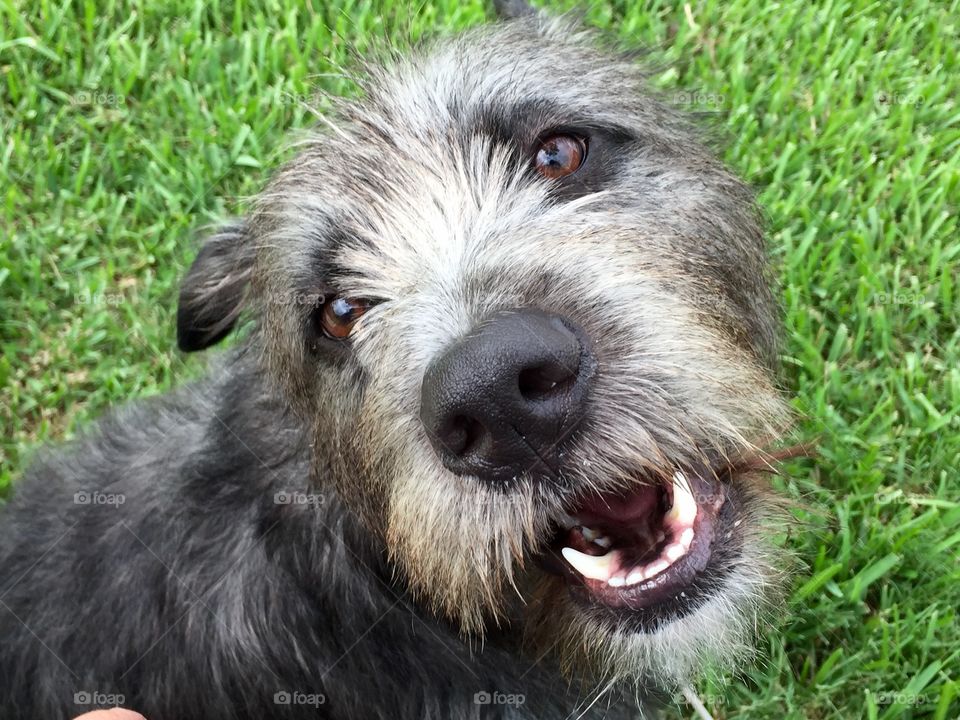 Slash's grin can be a bit toothy