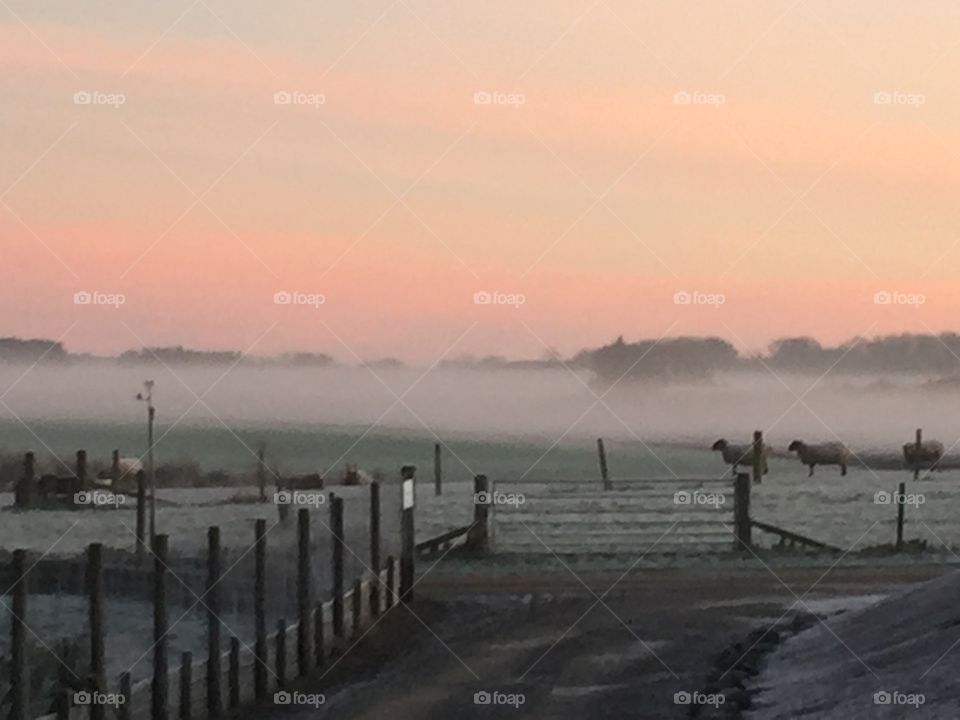 Misty morning in Aberdeenshire
