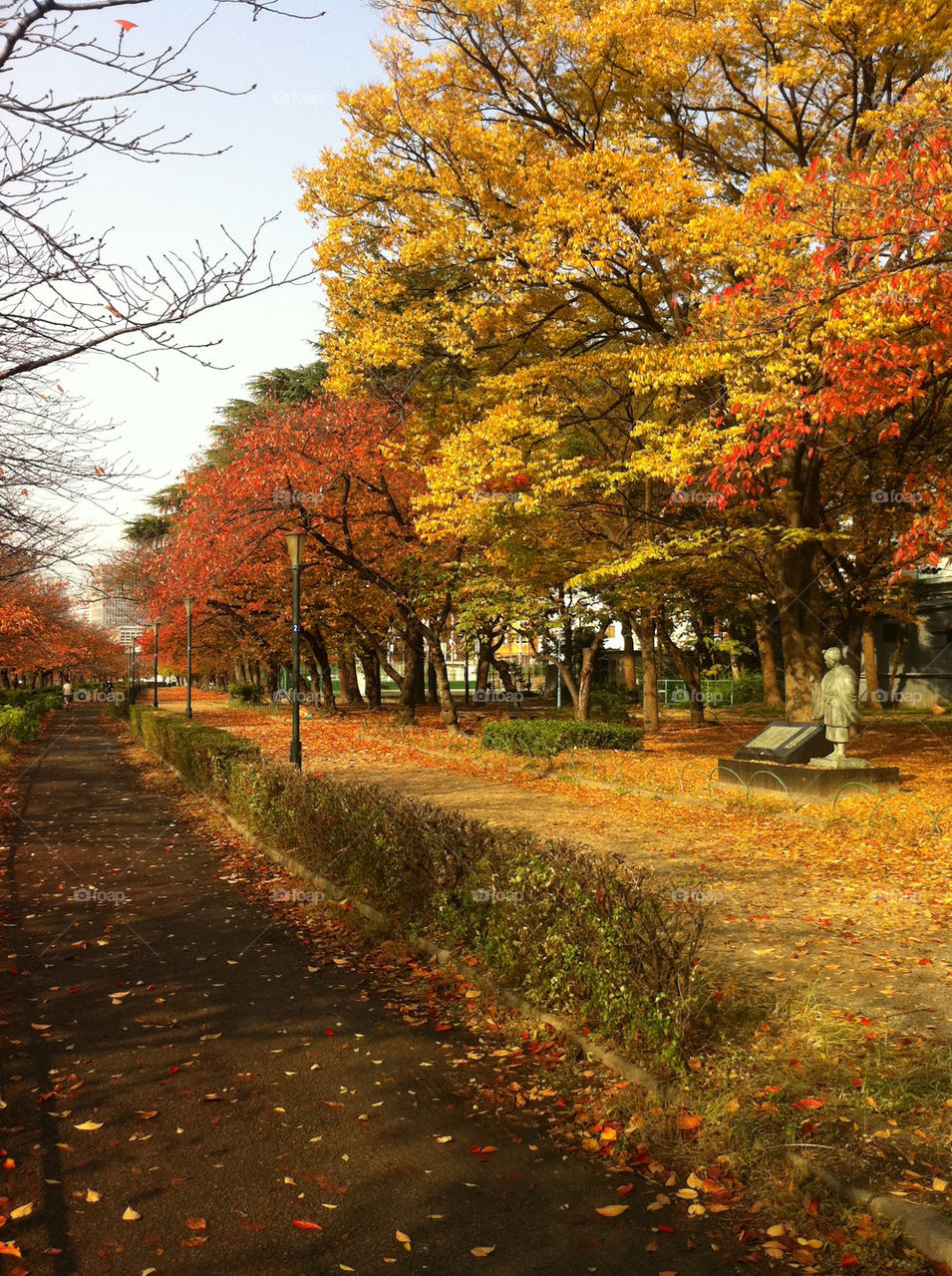 road autumn riverside japan by takjapan