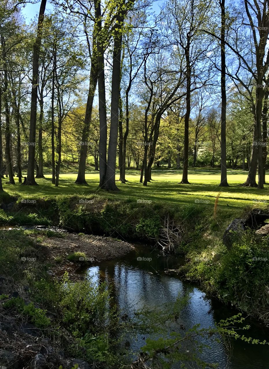 Tranquility landscape 
