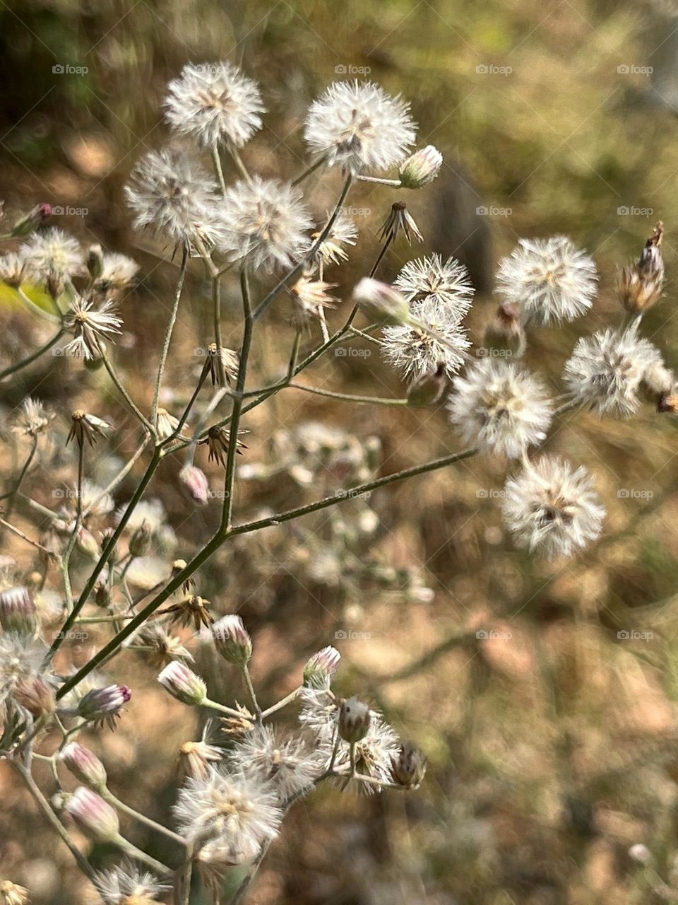 📷 Color Explosion 