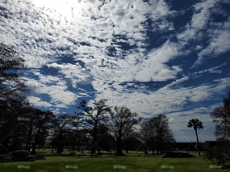 Clouds suddenly block the mid day sun casting a dark shadow over a city park.