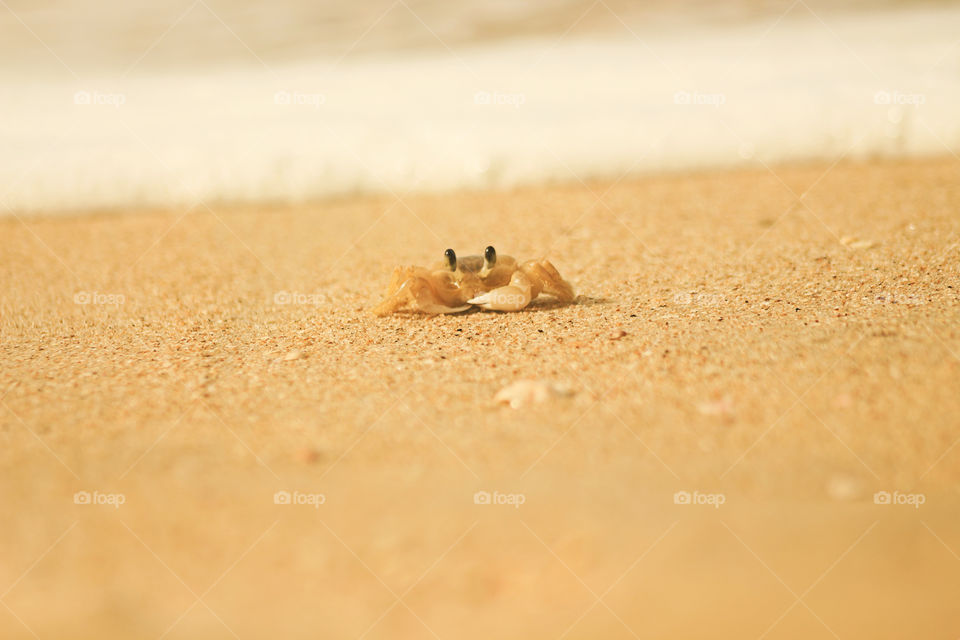 Sand, Beach, No Person, Seashore, Desert