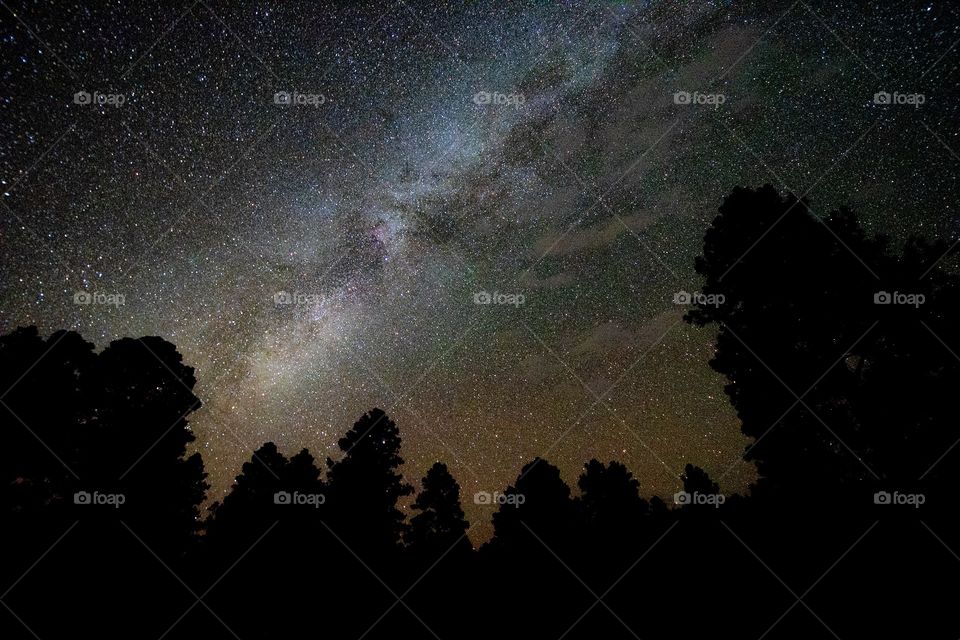The Milky Way over Coconino National Forrest, Flagstaff, Arizona. 