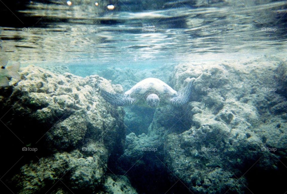 Oahu, Hawaii - Hanauma Bay