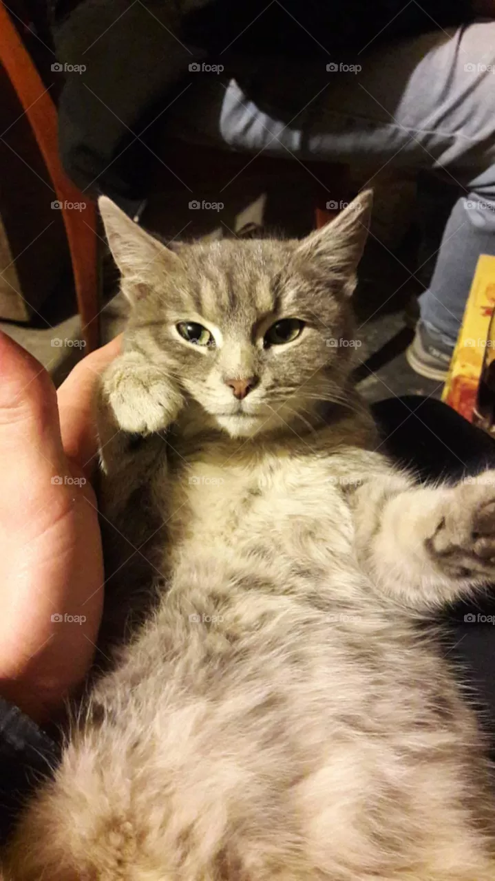 Mow
