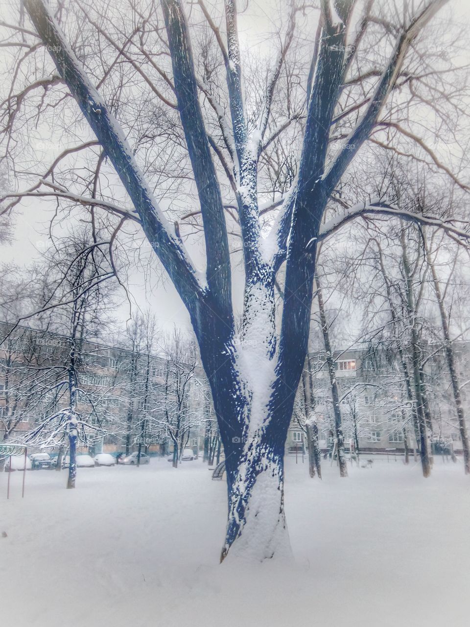 winter city courtyard