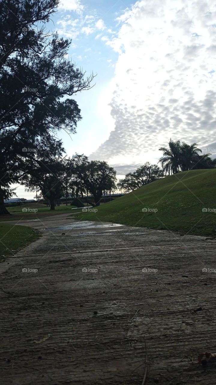 silver linings in the sky - reflejos plateados en el cielo