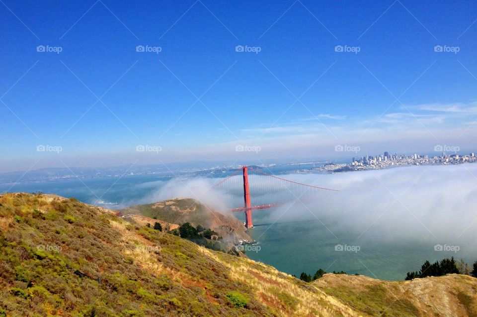 Golden Gate