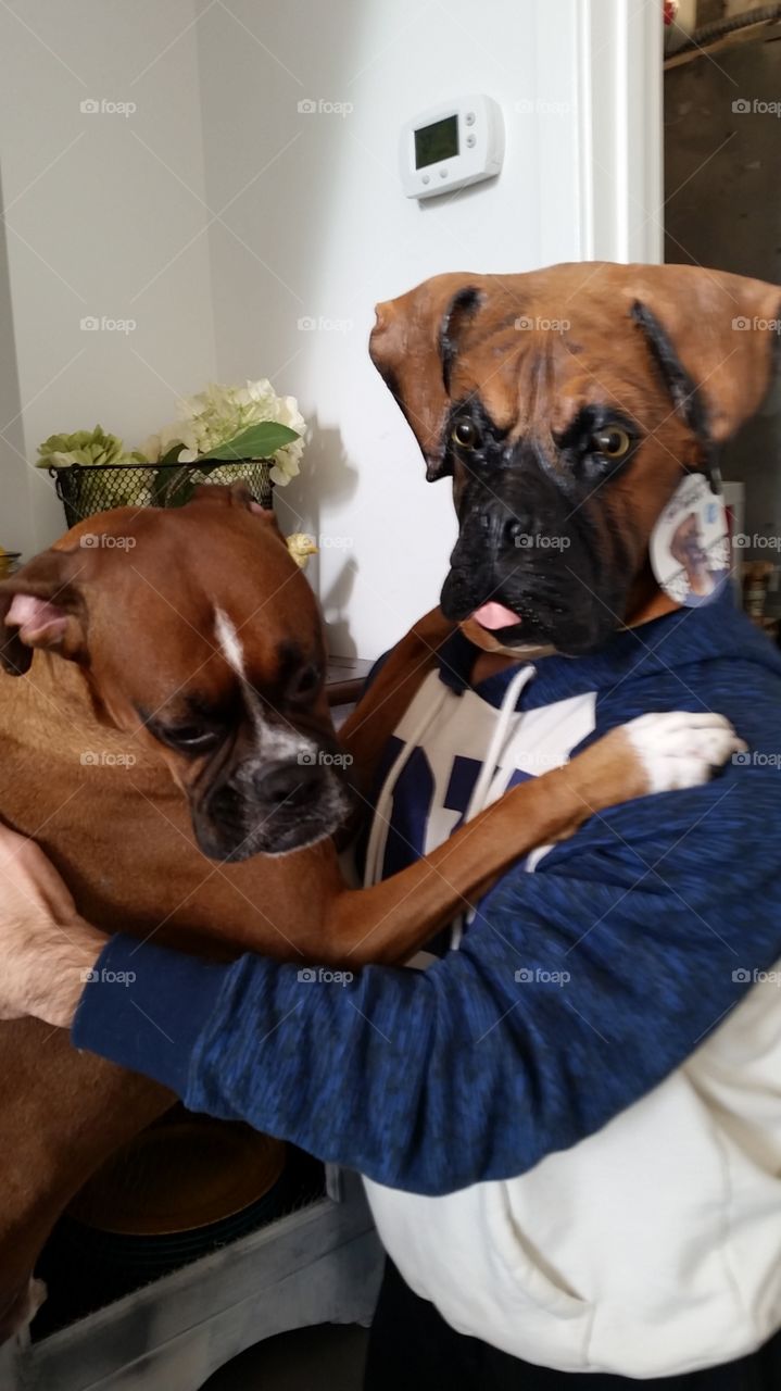 Father and son Halloween