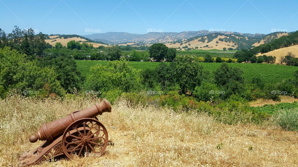 Cannon in Field
