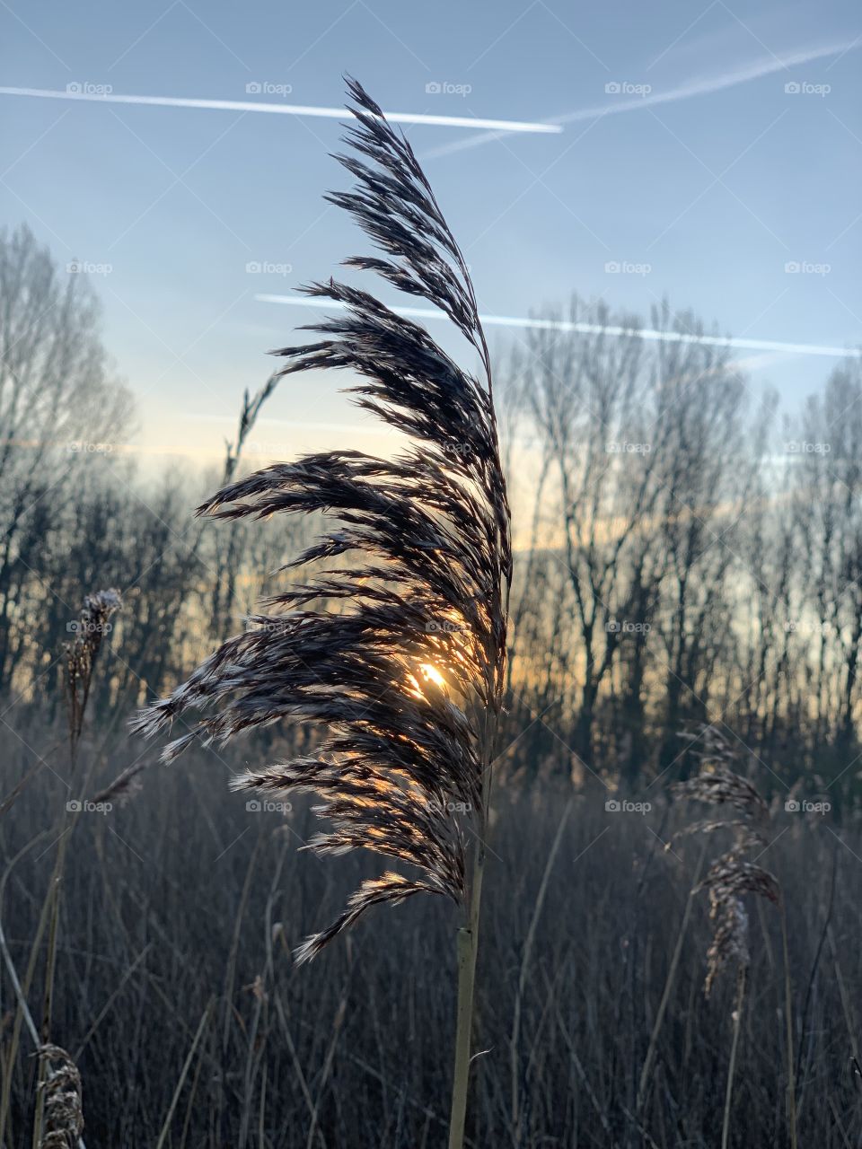 No Person, Nature, Landscape, Winter, Outdoors